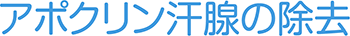 アポクリン汗腺の除去