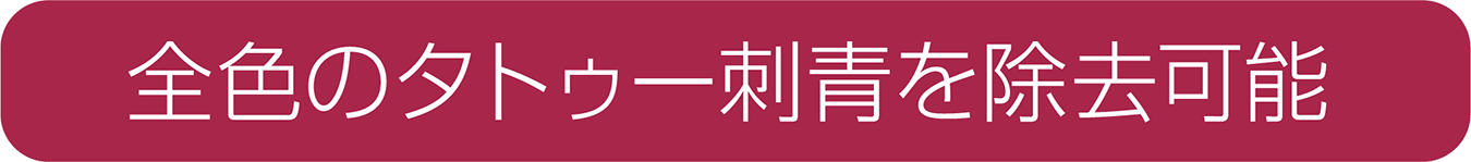 全色のタトゥー刺青を除去可能